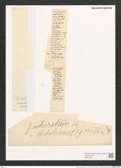 Gomphonema intricatum Kuetz. (de-Toni-Nr.: Genus 37, Species 1741) Zeichnungen Sammlung Grunow (NHMW-BOT-W0370981)
